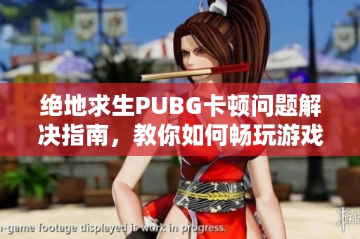 绝地求生PUBG卡顿问题解决指南，教你如何畅玩游戏