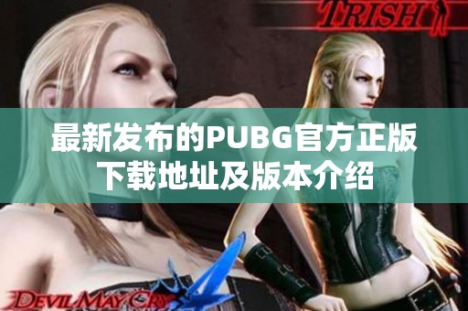 最新发布的PUBG官方正版下载地址及版本介绍