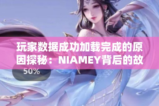 玩家数据成功加载完成的原因探秘：NIAMEY背后的故事与分析