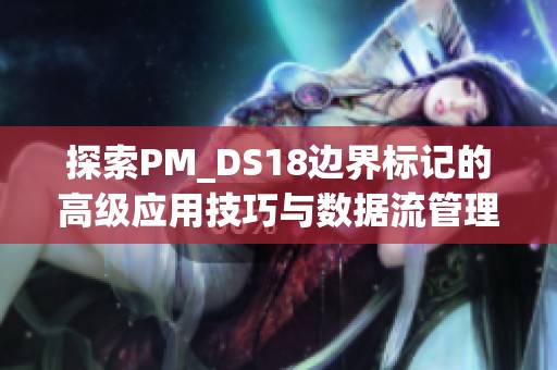 探索PM_DS18边界标记的高级应用技巧与数据流管理的深入提升方法